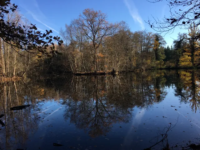 Erlebnispfad Holter Wald