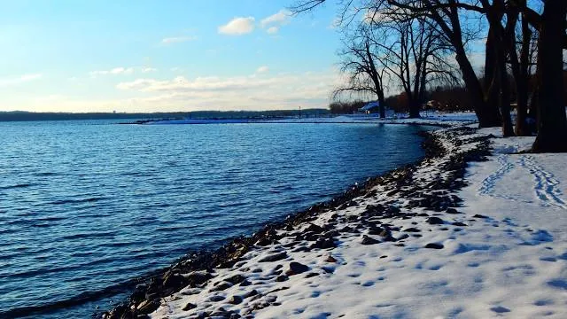 photo-2