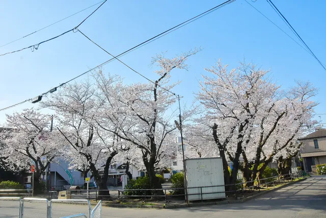 Tsunashimanishi Rokuchome Park