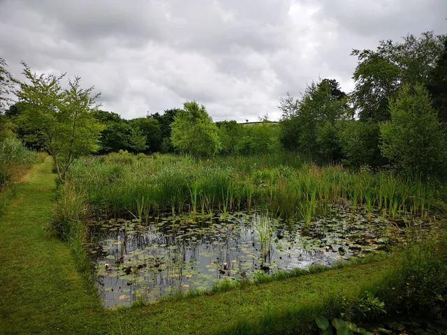 Penrose Water Gardens