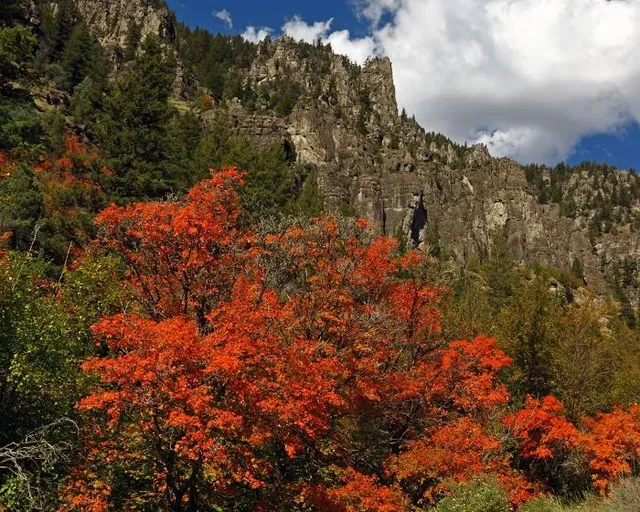 Beaver Mountain Ski Area