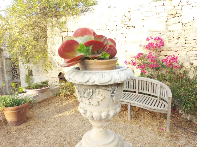 photo-2