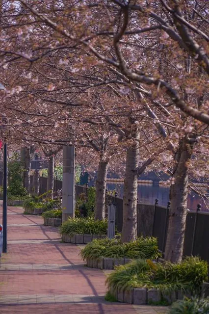 Ōoka River Promenade