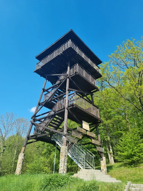 Wieża widokowa Wieszczyna