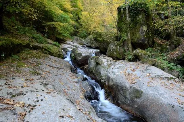 Pesenbachtal Naturschutzgebiet