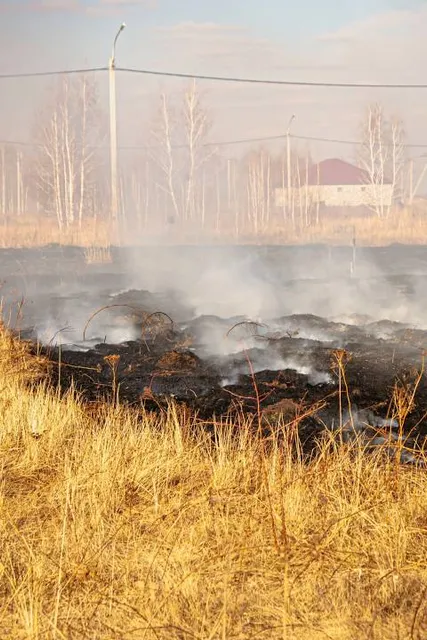Mastodon State Historic Site