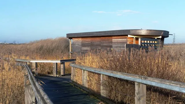 RSPB Rainham Marshes