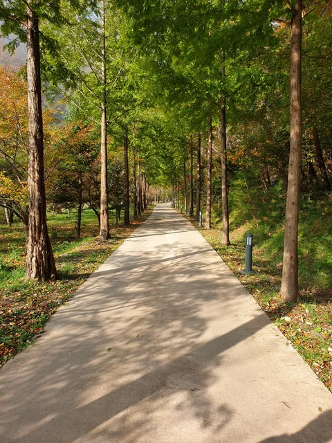Soseonam Nature Recreation Forest