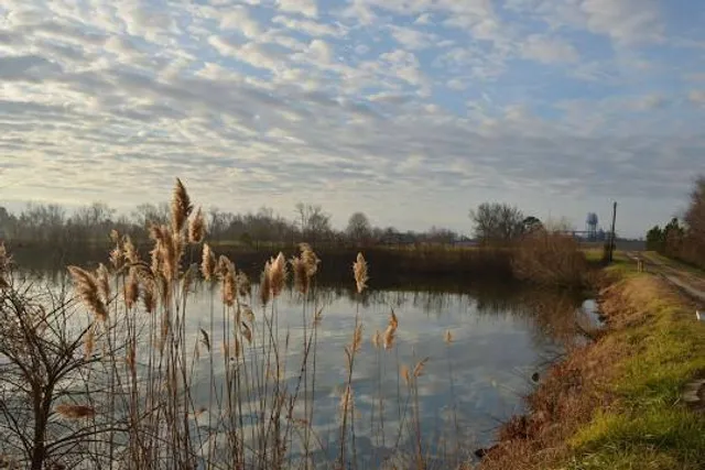 Heron Park (formerly Berlin Falls Park)