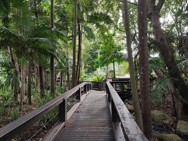 South Bank Rainforest Walk
