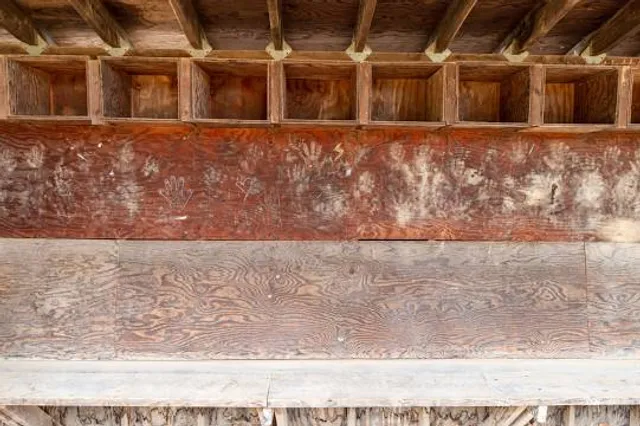 Beechwood State Park