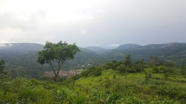 Togo Mountains
