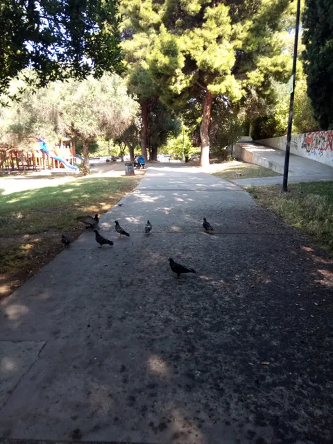 Grove Egaleo Baroutadiko