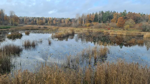Lina Nature preserve