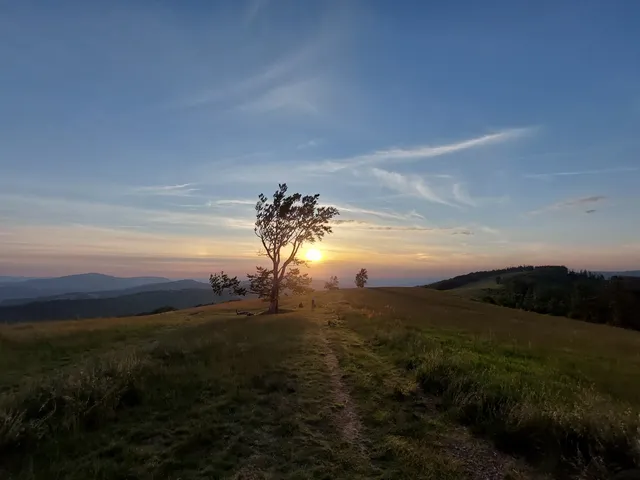 Hala Jaworowa Kotarz