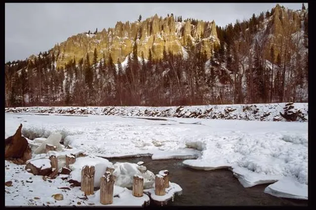 Dutch Creek Farm Animal Park