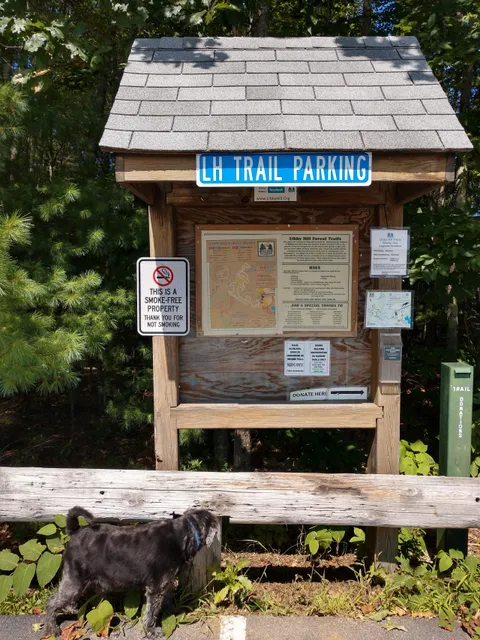 Libby Hill Forest Trails