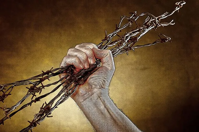 Museu Nacional Grão Vasco