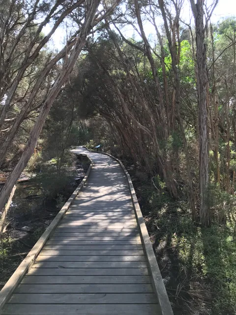 Balcombe Estuary Reserve