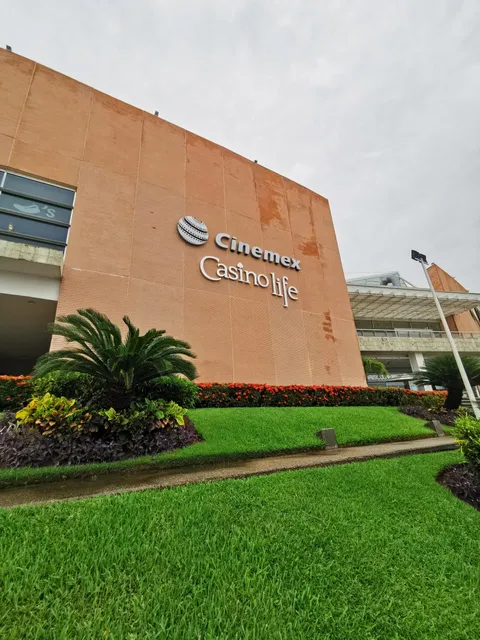 Casino Life The Marine Core Vallarta