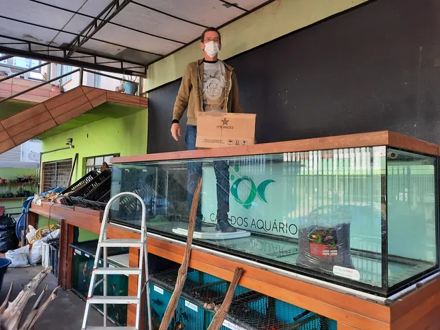 * Aquariums Londrina * House of Aquariums