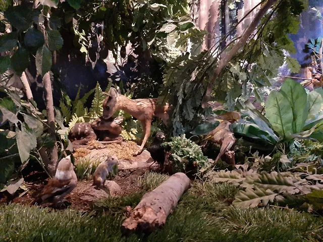 Bezoekerscentrum Mar en klif