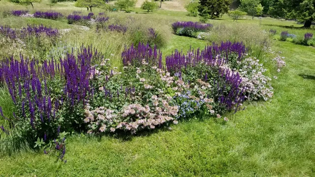 Mountain Top Arboretum