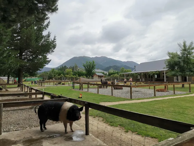 Hanmer Springs Animal Park