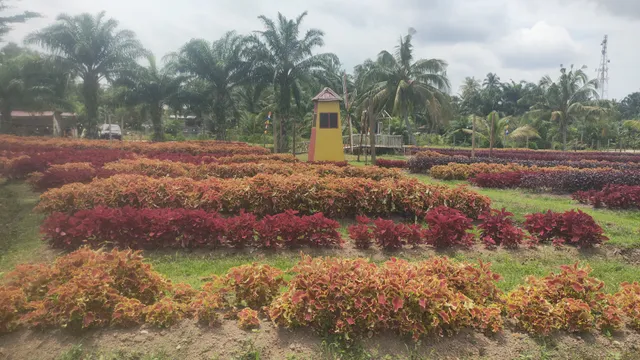 Pantai Legenda Pelintung