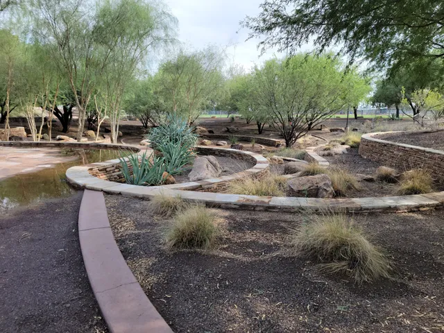 Scottsdale Xeriscape Garden