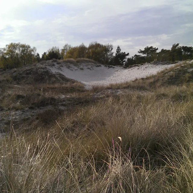 Skanörs Ljung Nature Reserve