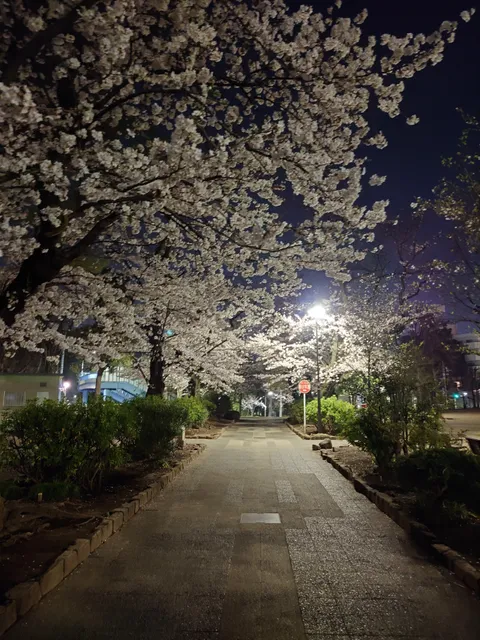 place image