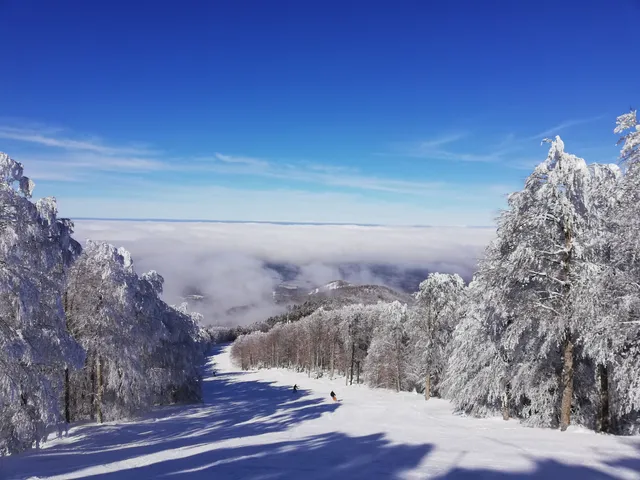 Sant'Eufemia d'Aspromonte