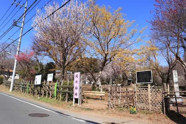 Kobotoke Checkpoint Ruins
