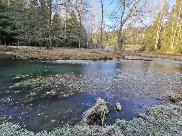 Altes Schloss Schönfeld