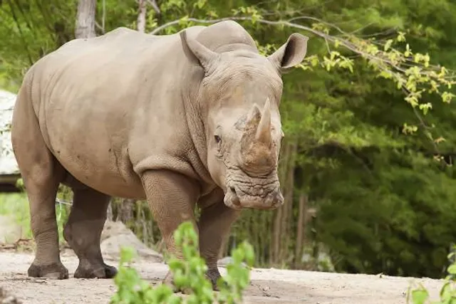 Dinosaurier Museum Altmühltal