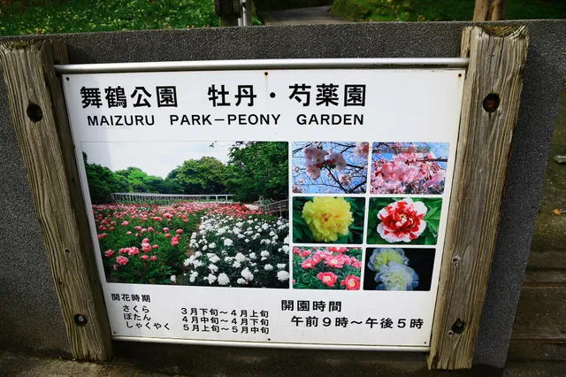 Maizuru Park Peony Garden