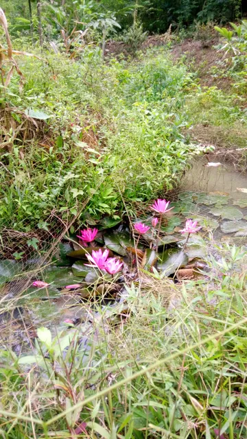 Cómoda Habitación En Machala