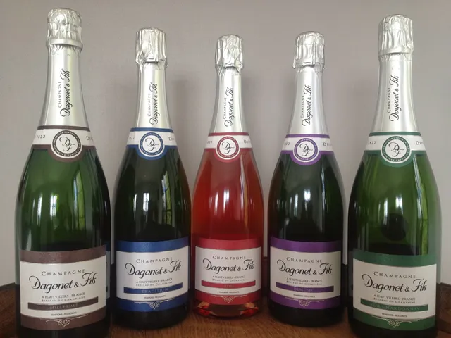 Champagne Dagonet et Fils