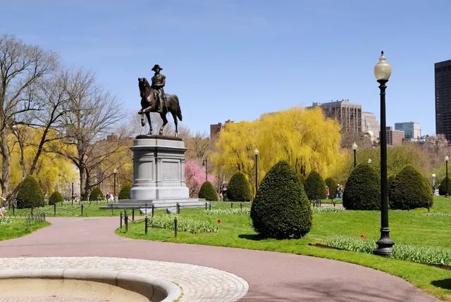 Al Habib Thamer Park