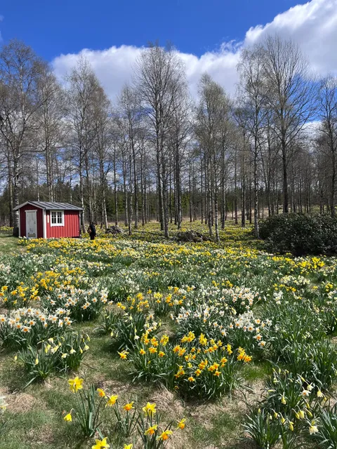 place image