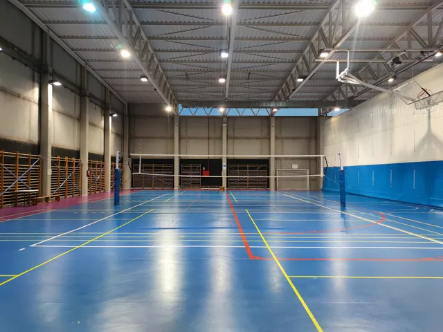 Centro Deportivo Municipal Wilfred Agbonavbare