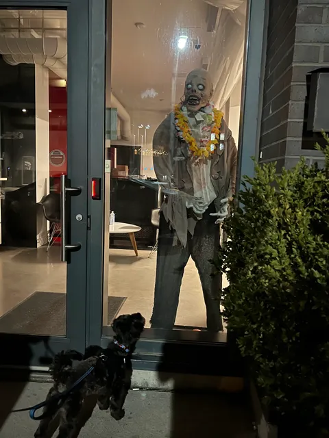 Monsters Aliens Robots Zombies