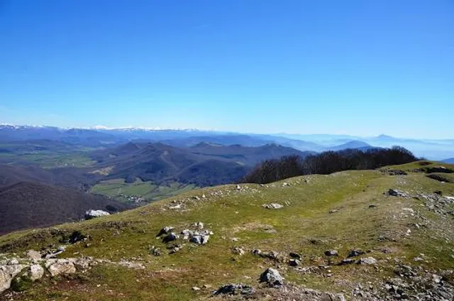 Monte Erga