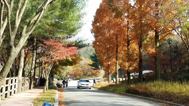Sajeong-gol Botanical garden