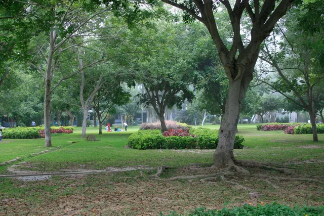 Ernesto Alayza Grundy Park