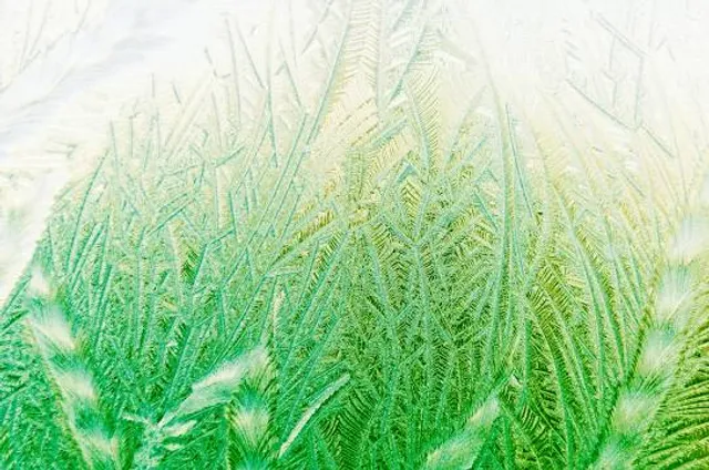 Khu Du Lịch Cộng Đồng Cồn Chim