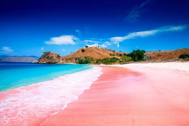Pink Beach