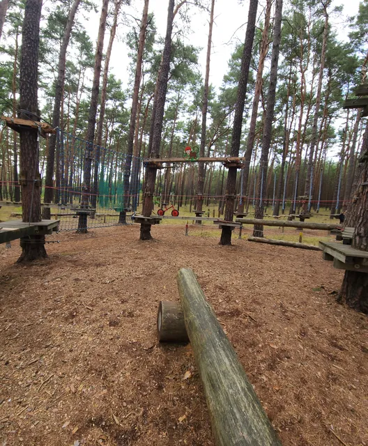 CLIMB UP! - Kletterwald in Klaistow