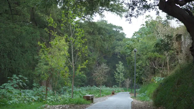Paseo Río la Silla - Parque Tolteca